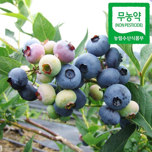 상품 이미지1
