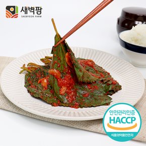 새벽팜 양념 깻잎김치 500g 1kg 국산 전라도김치 참매실 새벽김치