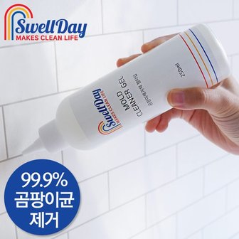  홈스웰 스웰데이 곰팡이제거제 250ml 5개