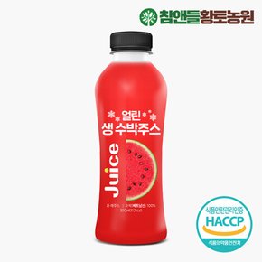 데이앤 얼린 생 수박주스 300ml x 1병