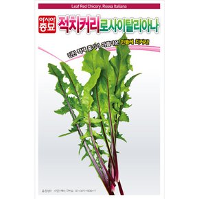 치커리씨앗종자 적치커리 로사이탈리아나 (1500립)