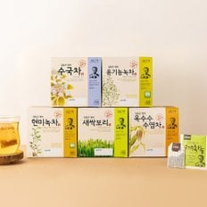 40티백 골라담기 19종 택1