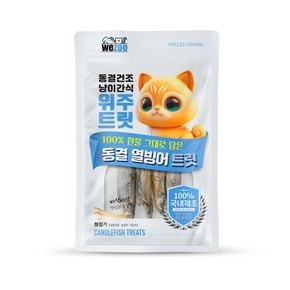 (2개)위주트릿 동결 열빙어 트릿 15g