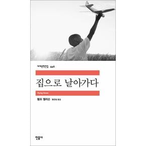 집으로 날아가다 (민음사 세계문학전집 446)