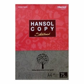 한솔 A4용지 250매 복사용지 프린트용지 팩스용지