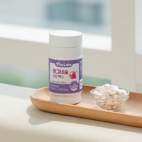 비타랩스 마그네슘 420 맥스 눈떨림 임산부 영양제 B1 B6 1200mg X 90정 3통