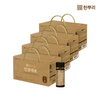 CJ웰케어 한뿌리 인삼대보 100ml*10병 x 4개