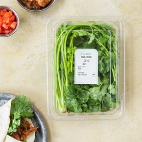 고수 (100g)