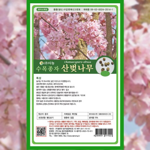 메인이미지