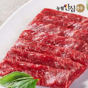 [냉동] 1등급 한우 바로구이 300g+300g 대용량팩