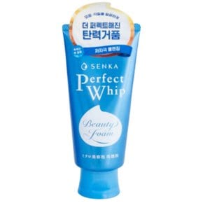 퍼펙트 휩 페이셜 폼클렌징 120g 저자극세안제 모공 각질