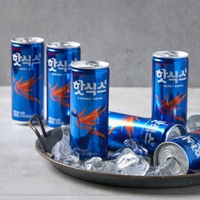핫식스 250ml*6입