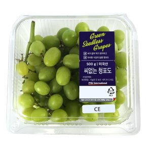 미국산 씨 없는 청포도 500g 팩