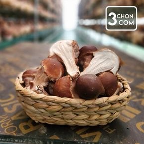 [삼촌밥먹자] 충북 무농약버섯 참송이 버섯 1kg 파지[35581872]