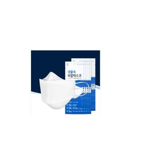 생활속 비말 마스크 KF-AD 10매 식약처허가 입체형