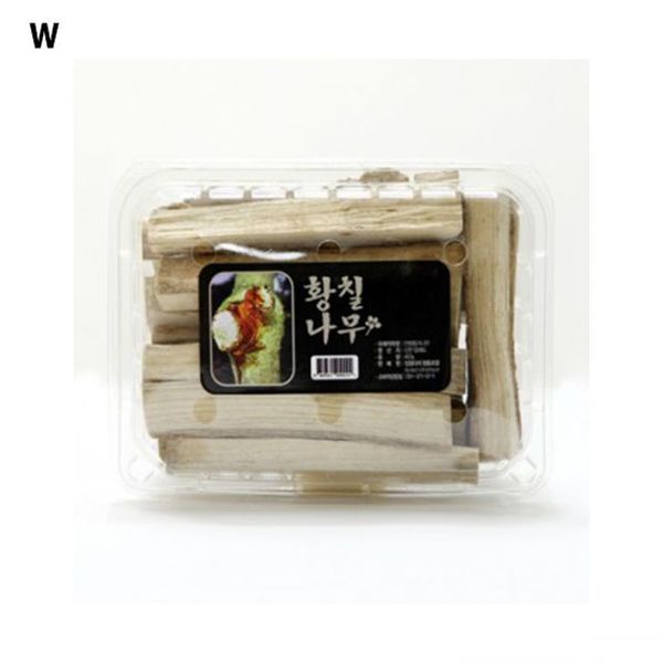황칠나무 500g