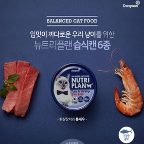 동원 뉴트리플랜 고양이캔흰살참치와 통새우24개