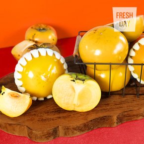 아삭달콤 배단감 태추 단감 정품 소과 2kg