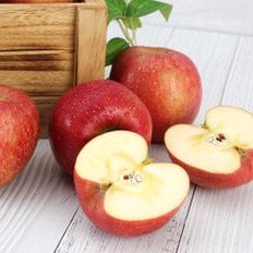 아침의뜰 (당도선별)경북영주 햇 부사사과4kg(대과/13과내)