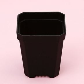 다육이 사각 화분 원예 분갈이 홈가드닝 미니 화분