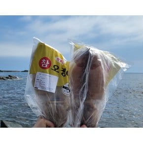 반건조 오징어 10마리 1kg