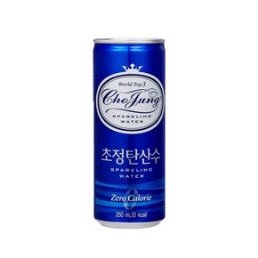 초정탄산수 250ml x 30캔