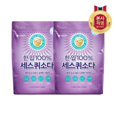 한입 세스퀴 탄산소다 1KG X 2개