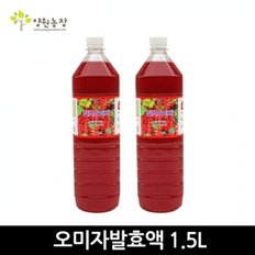 [양원농장] 오미자발효액 1.5L