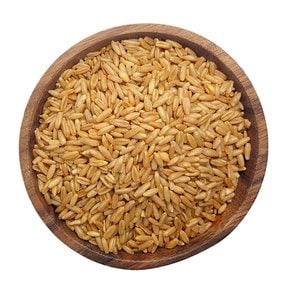 캐나다 볶은 통귀리 700g(팩) 오트밀 귀리