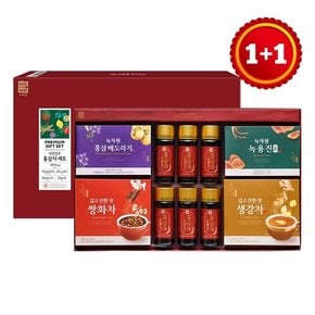 1+1 건강담은홍삼차세트+선물쇼핑백