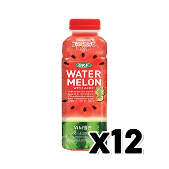  OKF 워터멜론 페트음료 500ml x 12개