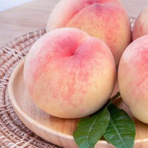 제철 말랑이 백도복숭아 1kg (중대과/4과내외)