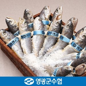 영광군수협 [9/12 오전8시 결제 건까지 명절전배송][냉동][영광군수협]법성포 영광 굴비 세트 1.8kg(역걸이/20미)