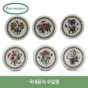 보타닉가든 뚜껑받침 대 6P