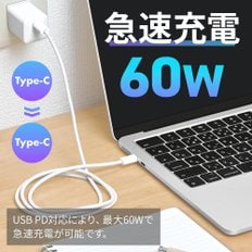 (SEIWA) USB-C & USB-C PD USB CtoC 1m D639 1.0m PD 60 W iPhone15 Andrioid 세이와 케이블