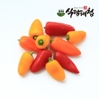 식탐대첩 국내산 미니 파프리카 500g