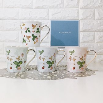  [WEDGWOOD] 웨지우드 스트로베리 파스텔 비커 머그컵 300ml 4종 택1