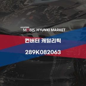 컨버터 캐털리틱 (289K082063)