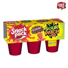 Snack Pack 사워 패치 키즈 레드베리 푸딩 6개입