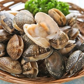 [산지직송] 씨알좋은 남해 바지락 1kg (kg당 60미내외)
