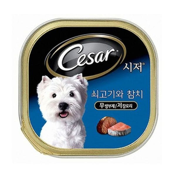 확대된 대표 이미지1