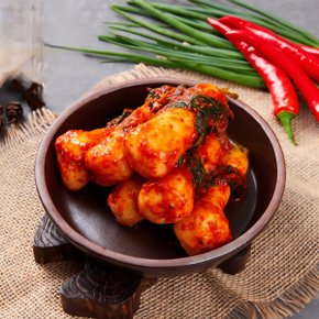 Fresh 자연락 국내산 알타리 총각김치 5kg