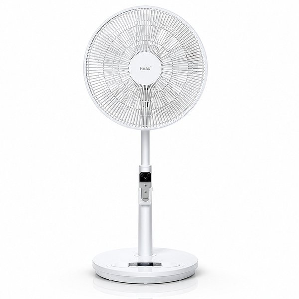 확대된 대표 대표이미지