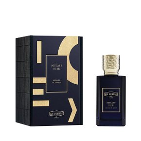 아웃캐스트 블루 익스트레잇 드 퍼퓸 100ml CZ12936005800