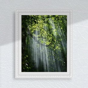 숲속햇살 태양빛 햇살 나무숲 산속 녹색 DIY 그림그리기 명화 셀프 인테리어액자 유화세트