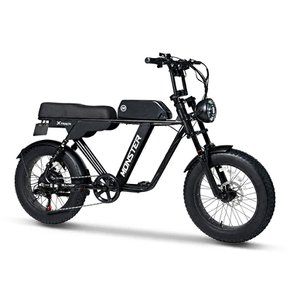 엑스트랙 몬스터 FS 풀서스펜션 자토바이 팻바이크 최대850W 48V 전동 전기자전거