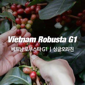 베트남 로부스타 G1 1kg 고소한 맛있는 산미없는 커피원두 원두커피 [미디움로스트]