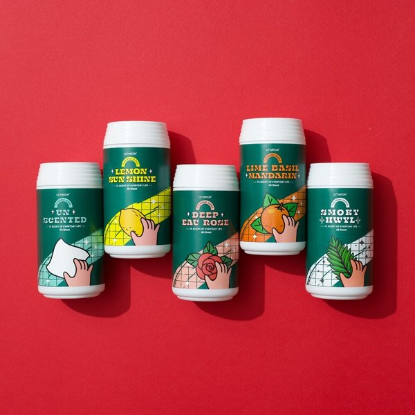 온예록 올인원 청소 세정 롤티슈 45매 2개 스모키휠