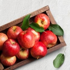 인정푸드 [경상북도][인정한과일] 인정가득 하루 한 사과 / 가정용 알뜰사과 10kg 33-46과내