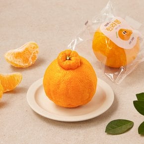 하루과일 한라봉 (1입)